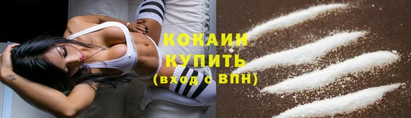 амф Няндома