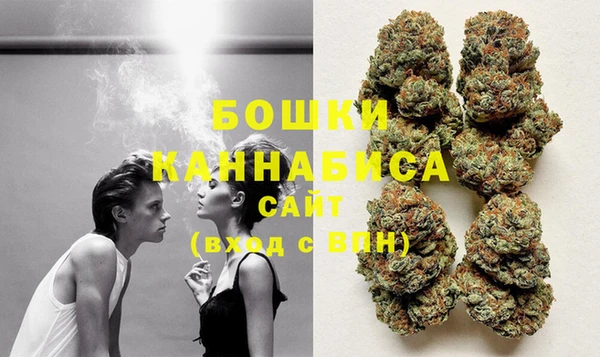 сатива Нягань