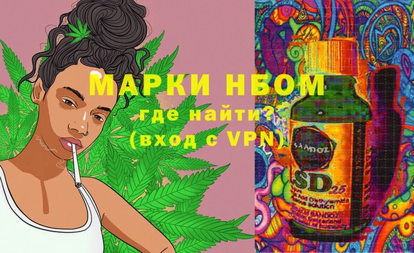 ПСИЛОЦИБИНОВЫЕ ГРИБЫ Новокубанск