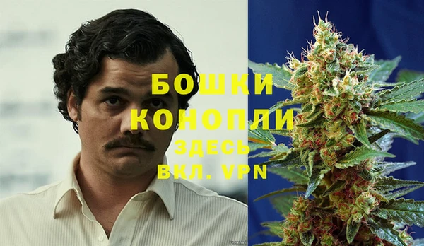 амф Няндома