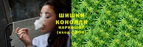 амф Няндома