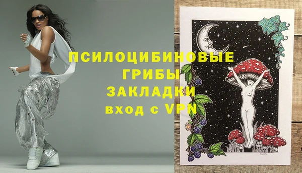 сатива Нягань