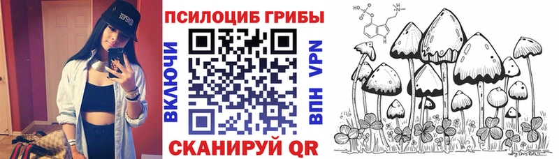 Галлюциногенные грибы Psilocybe Кораблино