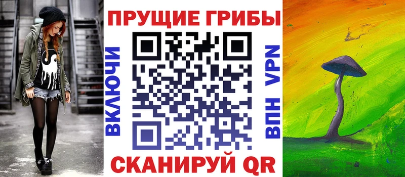 закладка Кораблино Псилоцибиновые грибы GOLDEN TEACHER